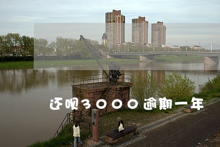 还呗3000逾期一年 还呗3000逾期一年