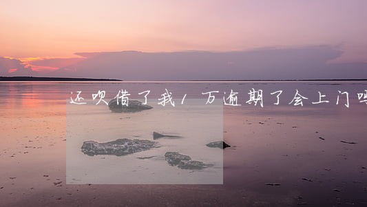 还呗借了我1万逾期了会上门吗 还呗借了我1万逾期了会上门吗