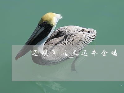 还呗可以只还本金吗 还呗可以只还本金吗