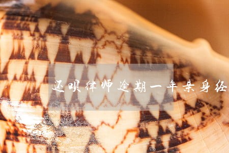 还呗律师逾期一年亲身经历 还呗律师逾期一年亲身经历