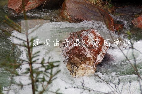 还呗由于银行原因逾期一天 还呗由于银行原因逾期一天