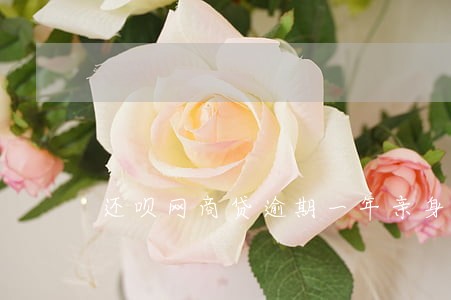 还呗网商贷逾期一年亲身经历 还呗网商贷逾期一年亲身经历