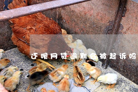 还呗网贷逾期会被起诉吗 还呗网贷逾期会被起诉吗