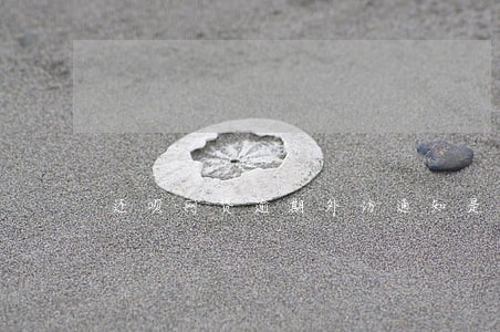 还呗网贷逾期外访通知是否真实