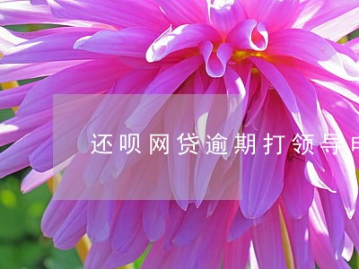 还呗网贷逾期打领导电话 还呗网贷逾期打领导电话