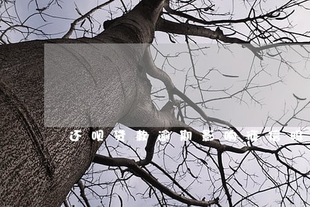 还呗贷款逾期影响征信吗 还呗贷款逾期影响征信吗