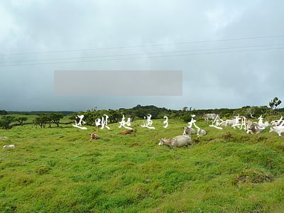 还呗超过3天逾期怎么样 还呗超过3天逾期怎么样