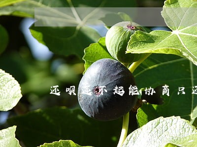 还呗还不起能协商只还本金吗 还呗还不起能协商只还本金吗