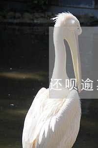 还呗逾期20天会不会找派出所 还呗逾期20天会不会找派出所