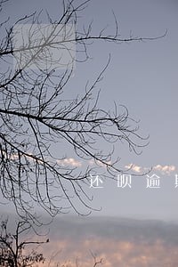 还呗逾期20天催收说有律师函 还呗逾期20天催收说有律师函