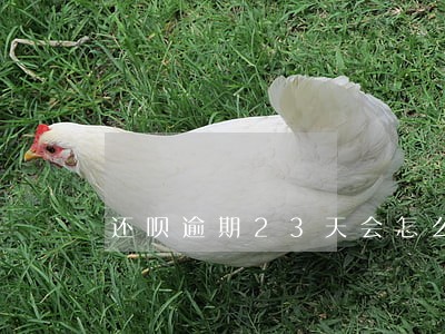 还呗逾期23天会怎么样 还呗逾期23天会怎么样