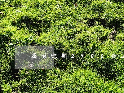 还呗逾期2900会上门吗