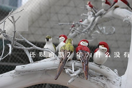 还呗逾期2年为什么没有还款额度 还呗逾期2年为什么没有还款额度