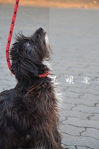 还呗逾期2年怎么没还款记录 还呗逾期2年怎么没还款记录
