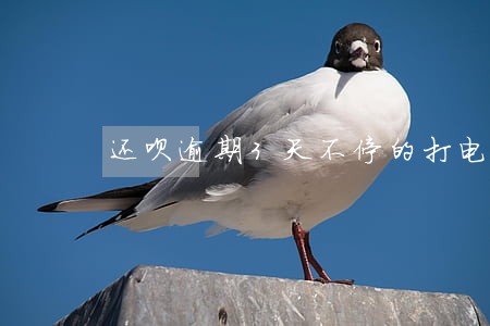 还呗逾期3天不停的打电话 还呗逾期3天不停的打电话