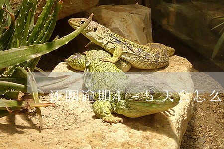 还呗逾期4-5天会怎么样 还呗逾期4-5天会怎么样