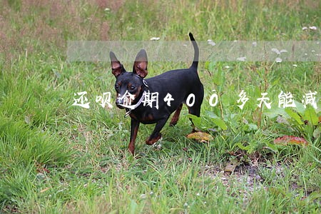 还呗逾期400多天能减免利息吗 还呗逾期400多天能减免利息吗