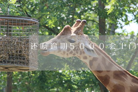 还呗逾期5000会上门吗