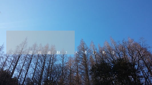 还呗逾期7天老打电话 还呗逾期7天老打电话