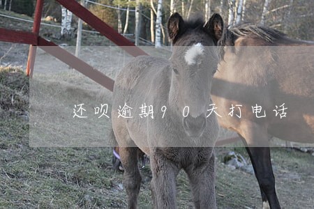 还呗逾期90天打电话 还呗逾期90天打电话