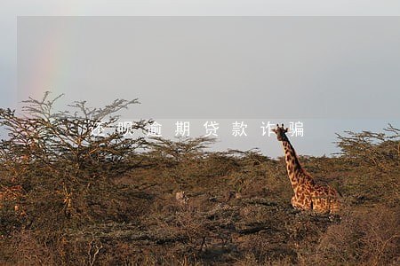还呗逾期贷款诈骗 还呗逾期贷款诈骗