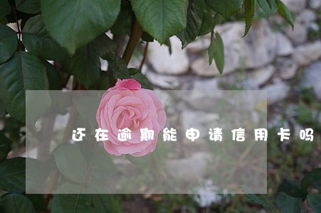 还在逾期能申请信用卡吗