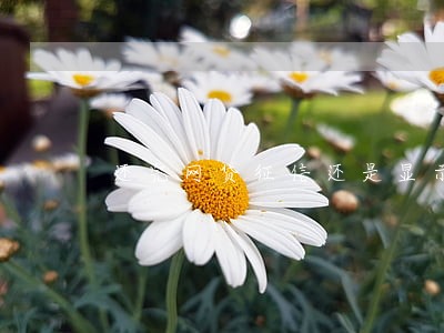 还完网贷征信还是显示逾期 还完网贷征信还是显示逾期