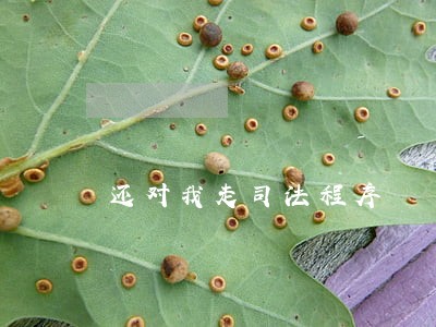 还对我走司法程序 还对我走司法程序