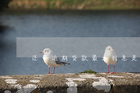 还带逾期贷款最大利息是多少 还带逾期贷款最大利息是多少