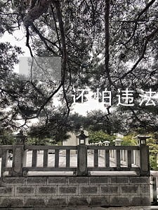 还怕违法吗 还怕违法吗
