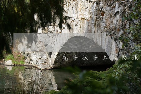 还恶人先告状告上国际法庭