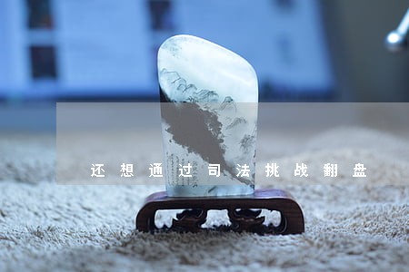还想通过司法挑战翻盘 还想通过司法挑战翻盘