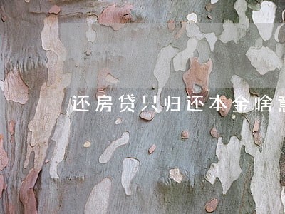 还房贷只归还本金啥意思 还房贷只归还本金啥意思