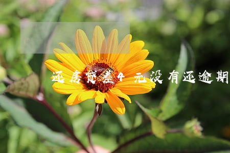 还房贷差4元没有还逾期一天 还房贷差4元没有还逾期一天