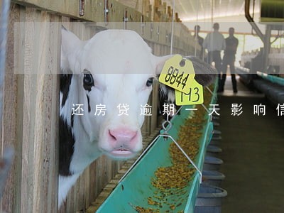 还房贷逾期一天影响信用吗 还房贷逾期一天影响信用吗