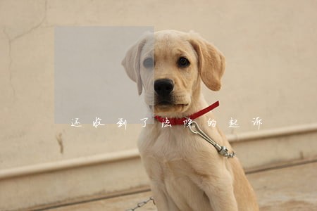 还收到了法院的起诉 还收到了法院的起诉