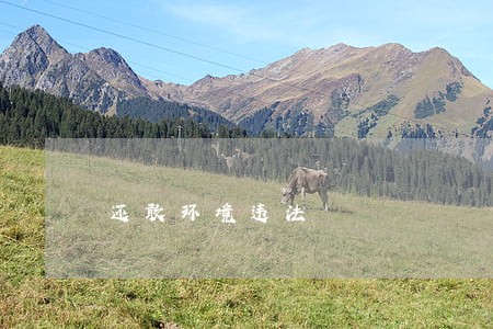 还敢环境违法 还敢环境违法