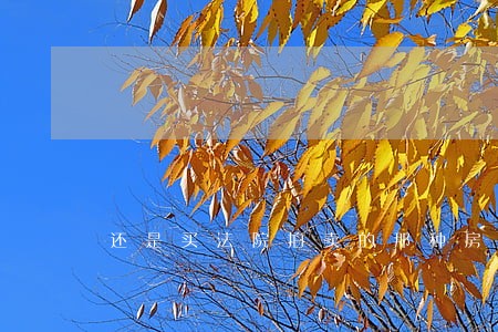 还是买法院拍卖的那种房子好啊