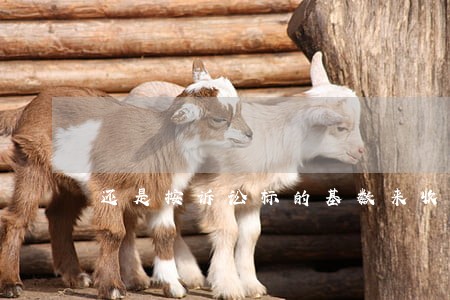 还是按诉讼标的基数来收取 还是按诉讼标的基数来收取