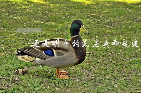 还是明年的民法典都规定了姓名权 还是明年的民法典都规定了姓名权