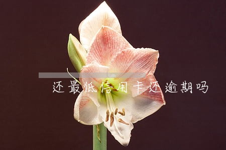 还最低信用卡还逾期吗 还最低信用卡还逾期吗