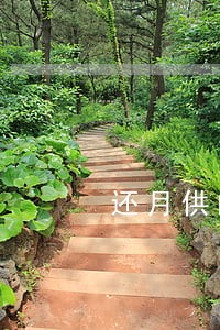 还月供的卡被法院冻结了 还月供的卡被法院冻结了