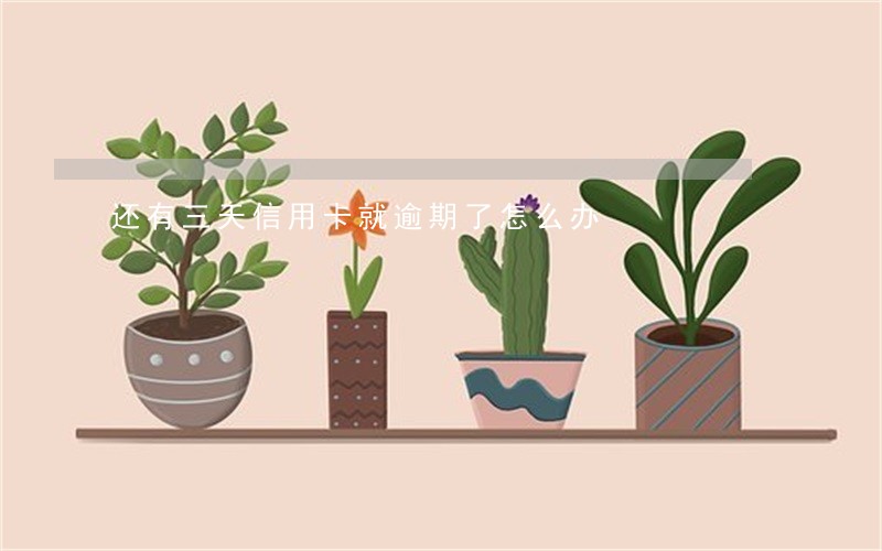 还有三天信用卡就逾期了怎么办 还有三天信用卡就逾期了怎么办