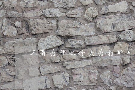 还有为什么佟大为打那个朱律师 还有为什么佟大为打那个朱律师