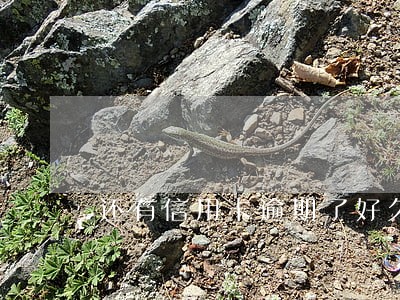 还有信用卡逾期了好久 还有信用卡逾期了好久