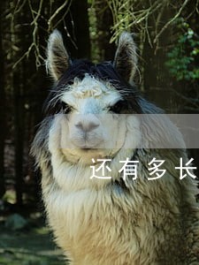 还有多长时间有法律效应