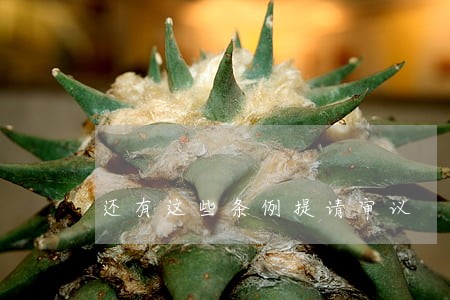 还有这些条例提请审议