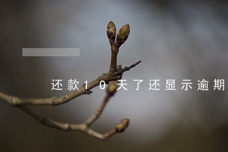 还款10天了还显示逾期 还款10天了还显示逾期