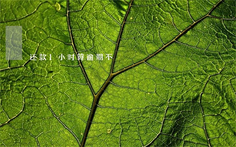 还款1小时算逾期不 还款1小时算逾期不