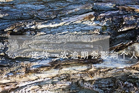 还款一次逾期会影响个人信用 还款一次逾期会影响个人信用